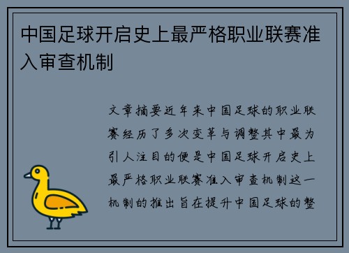 中国足球开启史上最严格职业联赛准入审查机制